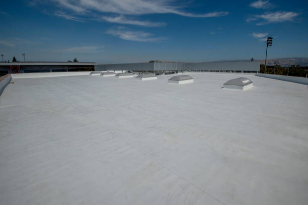 Best Cold Roofs  in Louisville, NE