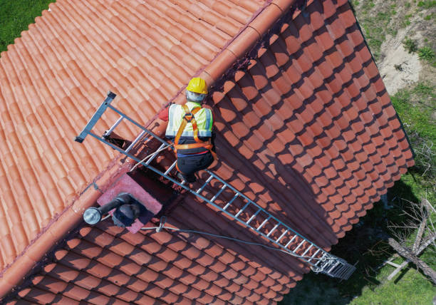 Best Roof Coating and Sealing  in Louisville, NE